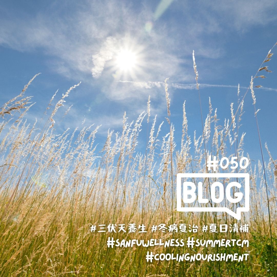 Bright summer sunshine over a grassy field, symbolizing Sanfu Days, seasonal wellness, and summer qi nourishment.