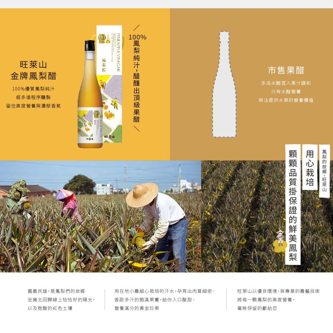 Pineapple Hill】Pineapple Vinegar – Tangy Sweet Tropical Flavor