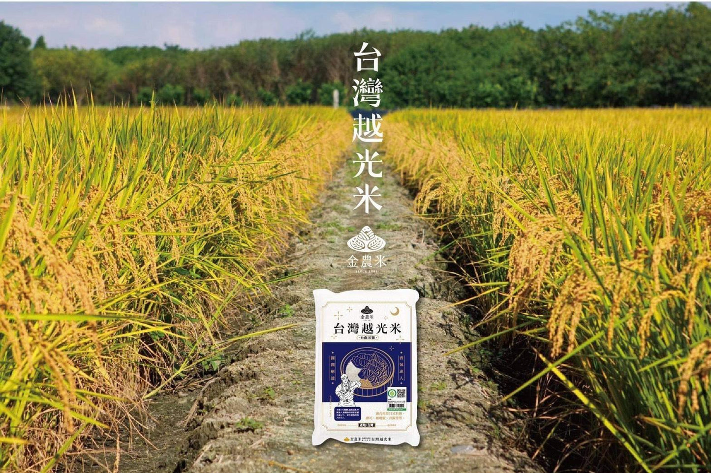 
                  
                    【金農米】台灣越光米
                  
                